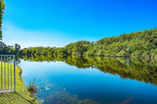 a view of a house with a big yard plants and large trees