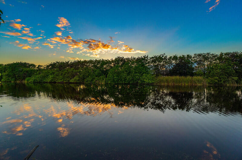 14364 Stroller Way Wellington, FL 33414 - Photo 47 of 47 a view of a lake in middle of forest