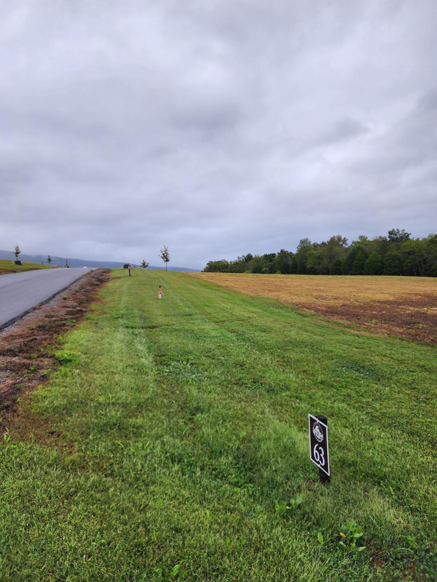 63 River Ridge Drive Dunlap, TN 37327 - Photo 2 of 12 Lot 63 (2)