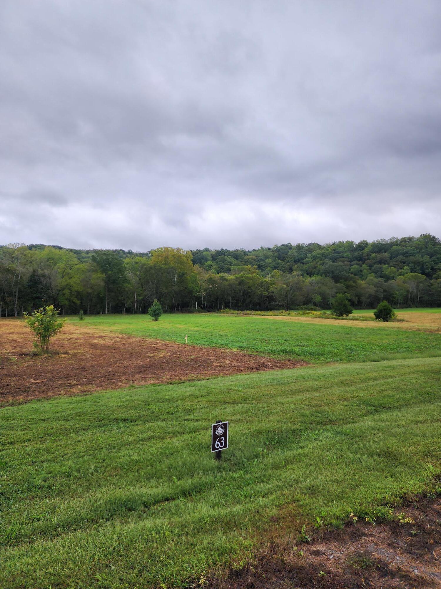 63 River Ridge Drive Dunlap, TN 37327 - Photo 3 of 12 Lot 63