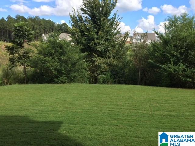 1060 Riviera Drive Calera, AL 35040 - Photo 42 of 42