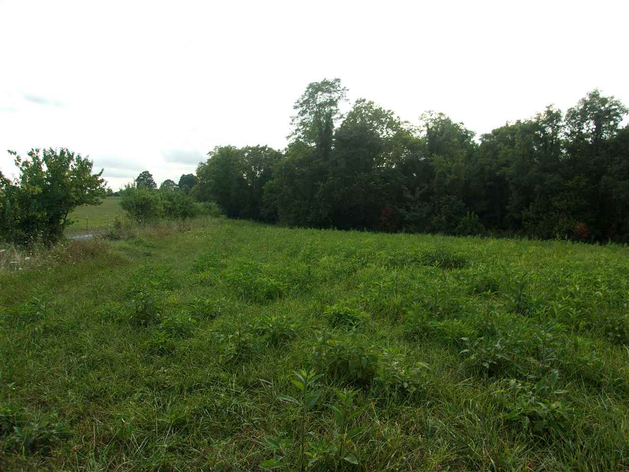 0 T T Wenz Road Dover, KY 41034 - Photo 33 of 35 Gallery Image 33