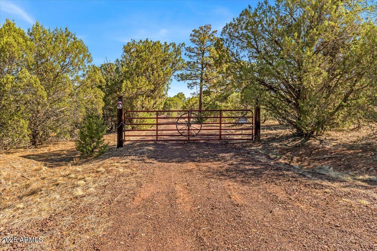 - Tbd Show Low, AZ 85901 - Photo 1 of 41 a view of outdoor space with deck and tree
