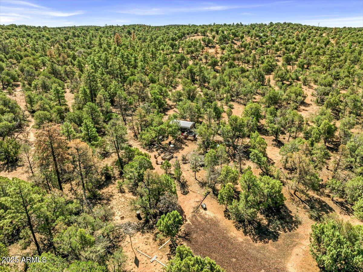- Tbd Show Low, AZ 85901 - Photo 16 of 41 a view of a green field