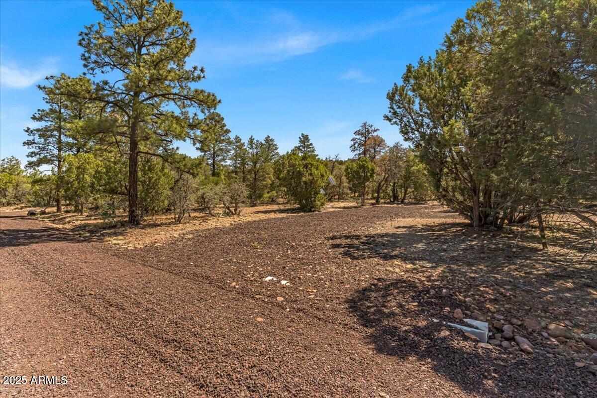 - Tbd Show Low, AZ 85901 - Photo 7 of 41 a view of dirt yard with a large tree