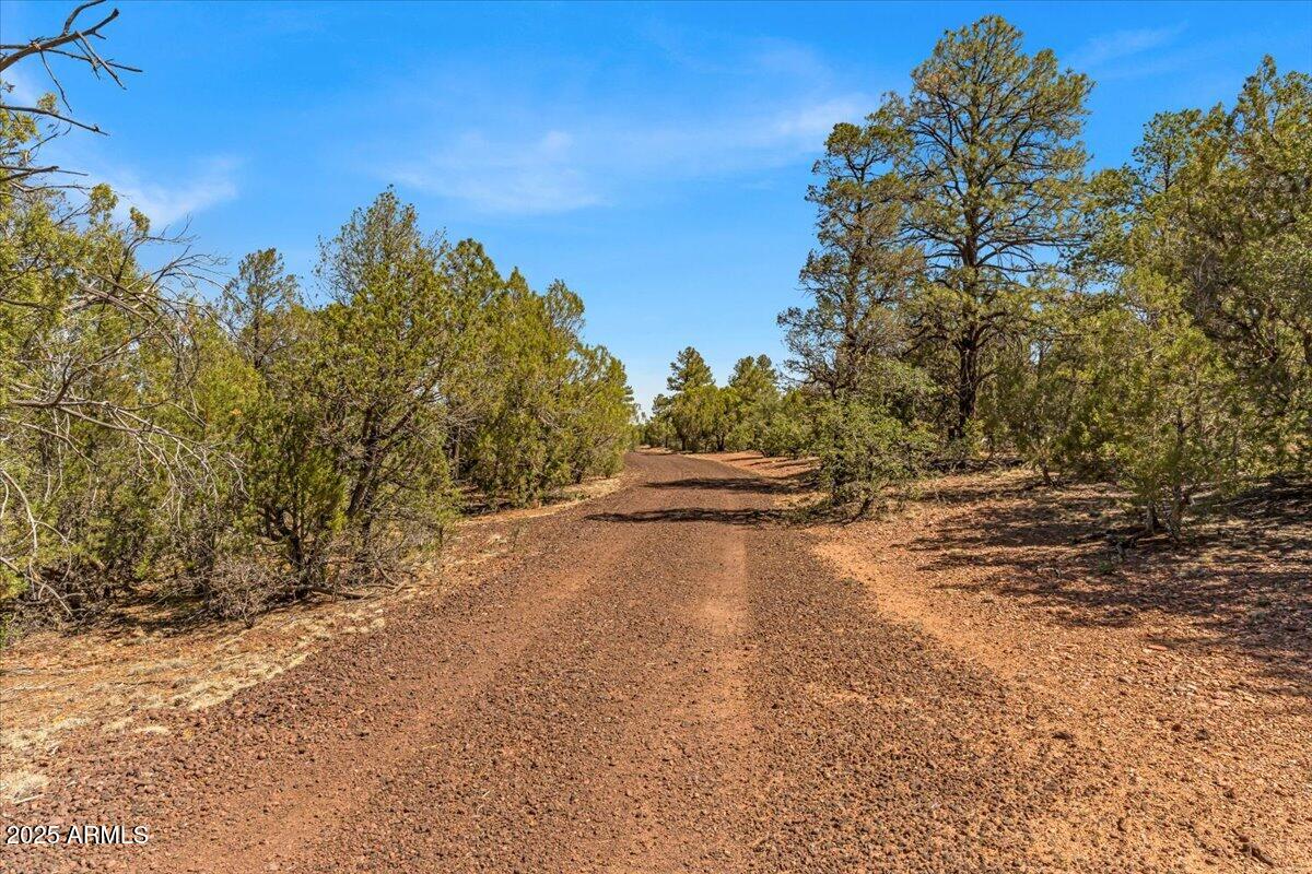 - Tbd Show Low, AZ 85901 - Photo 8 of 41 a view of a yard with a tree
