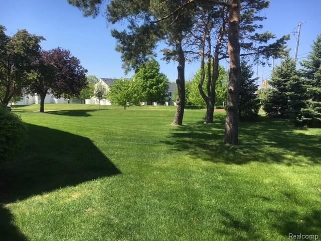 39513 Village Wood Road Novi, MI 48375 - Photo 4 of 23 IMG_0666.JPG