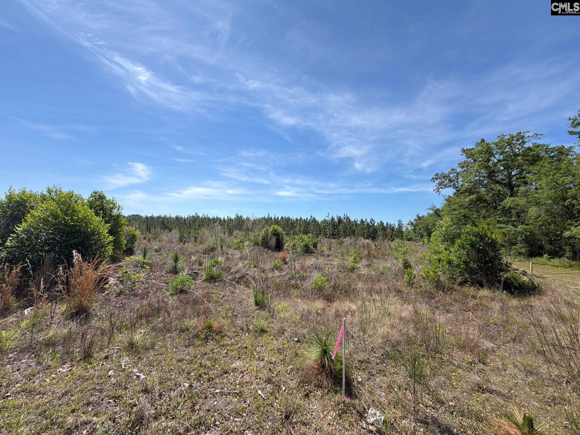 2 Holstein Road Monetta, SC 29105 - Photo 11 of 14