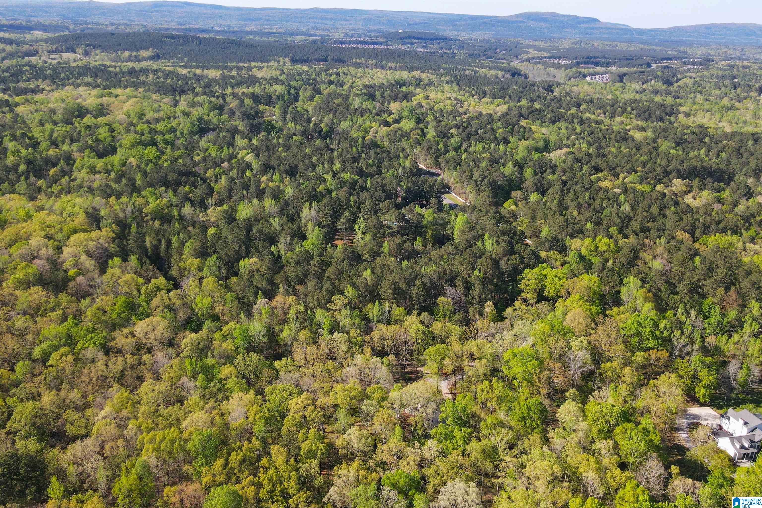 370 Dorough Road Columbiana, AL 35051 - Photo 84 of 89 Gallery Image 84