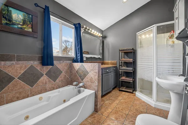 a bathroom with a tub toilet a sink and mirror