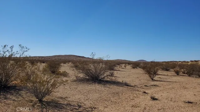 $10,950 | 0 Alper Street, Edwards, CA 93523