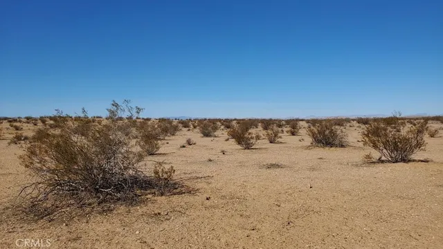 $10,950 | 0 Alper Street, Edwards, CA 93523