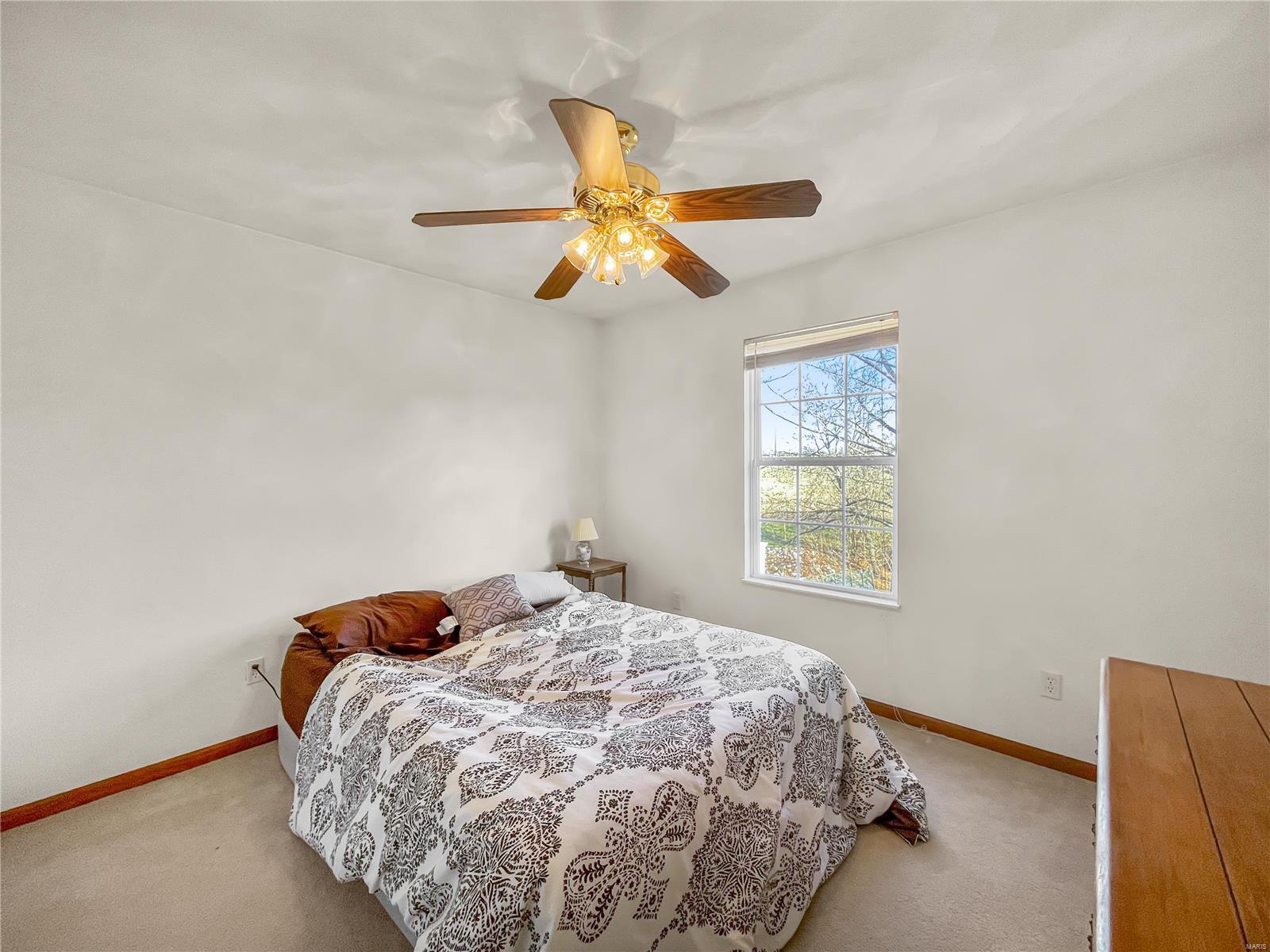 314 Westview Court Waterloo, IL 62298 - Photo 17 of 30 Gallery Image 17