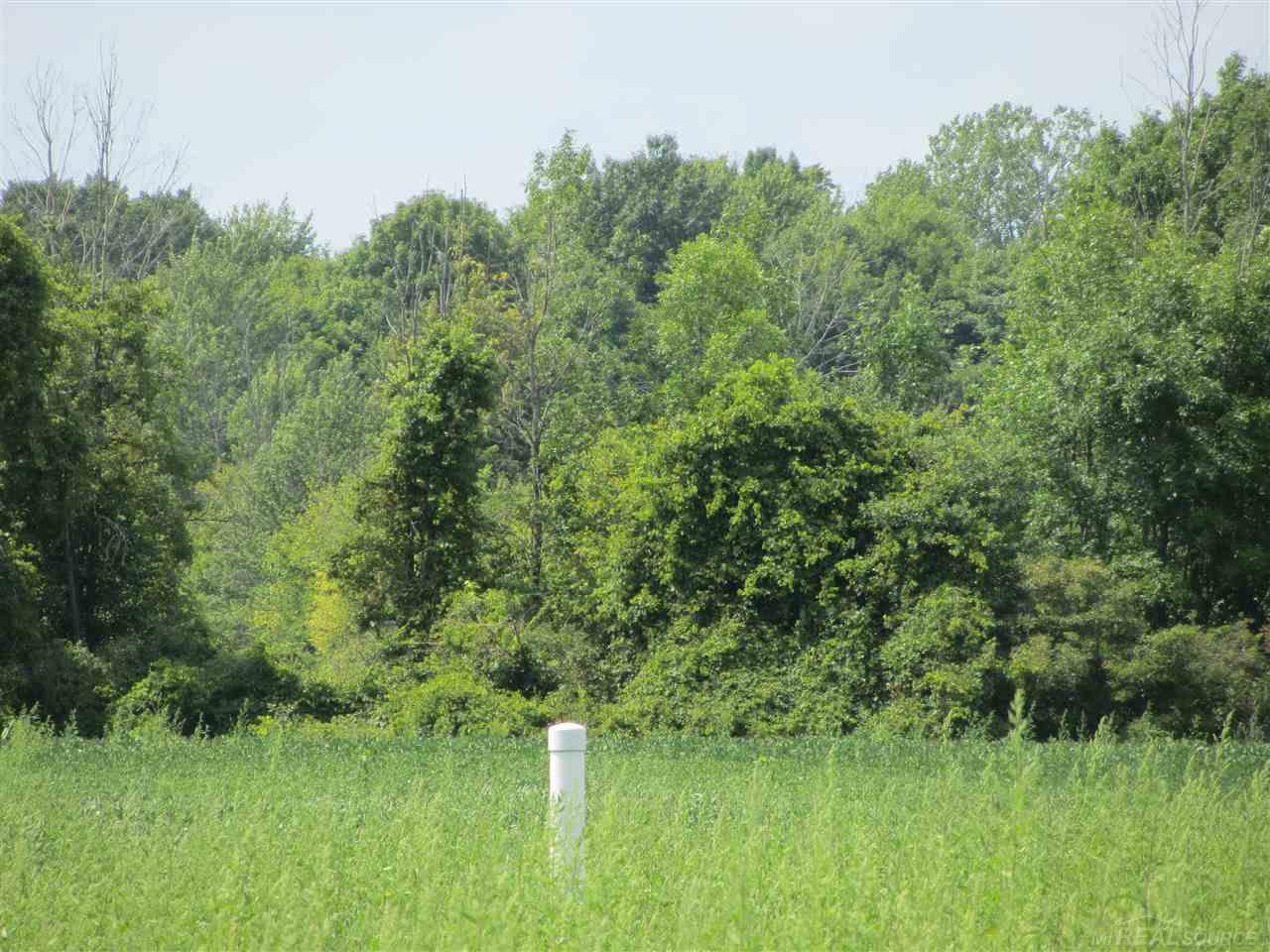 0 Gramer Road New Haven, MI 48050 - Photo 1 of 10