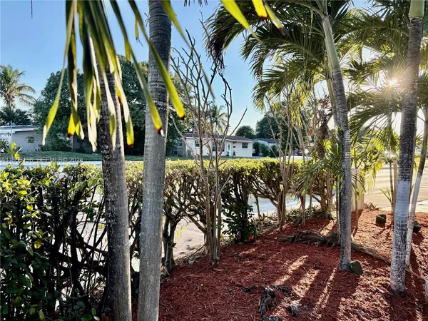 a view of small yard