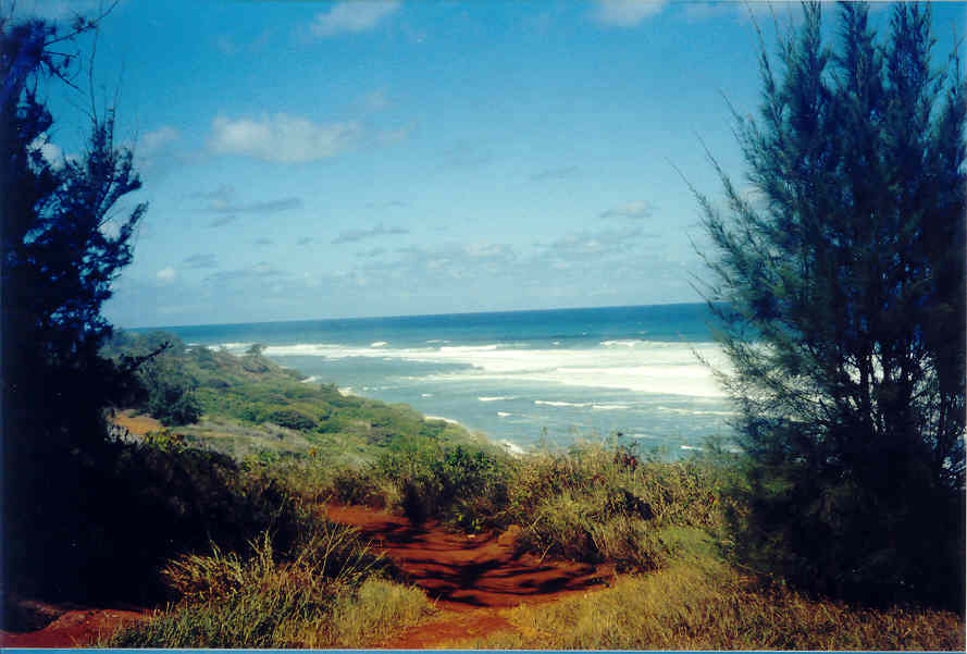 Larsen's Beach Road Kilauea, HI 96754 - Photo 1 of 9 Gallery Image 1