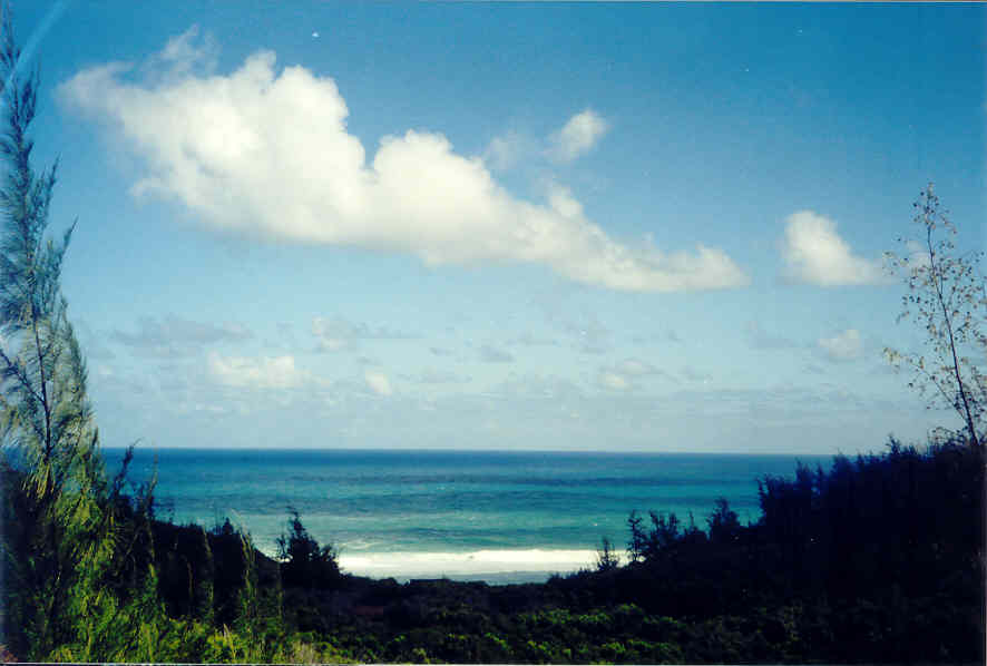 Larsen's Beach Road Kilauea, HI 96754 - Photo 2 of 9 Gallery Image 2