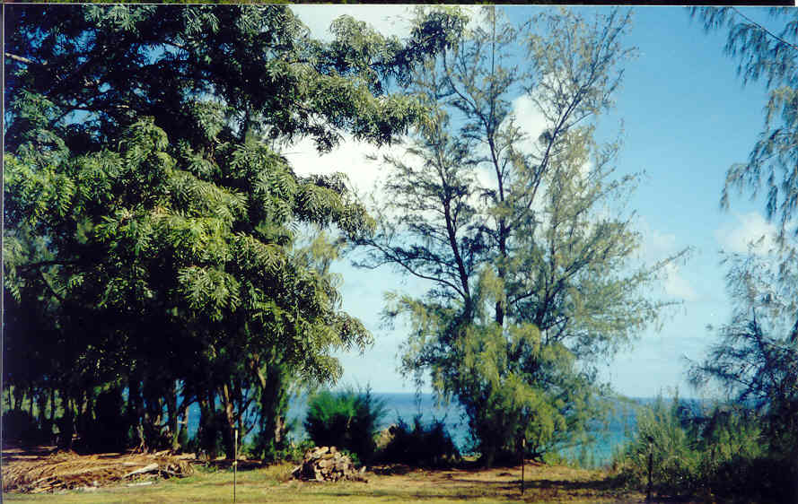 Larsen's Beach Road Kilauea, HI 96754 - Photo 3 of 9 Gallery Image 3