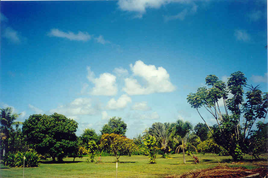 Larsen's Beach Road Kilauea, HI 96754 - Photo 5 of 9 Gallery Image 5