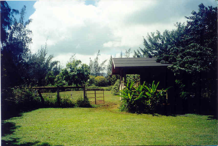 Larsen's Beach Road Kilauea, HI 96754 - Photo 7 of 9 Gallery Image 7