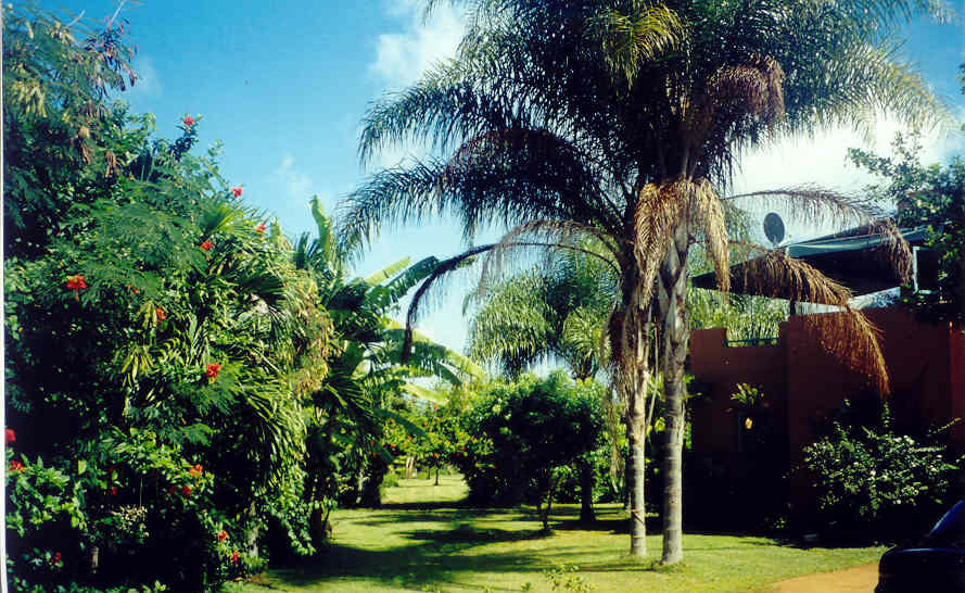 Larsen's Beach Road Kilauea, HI 96754 - Photo 8 of 9 Gallery Image 8