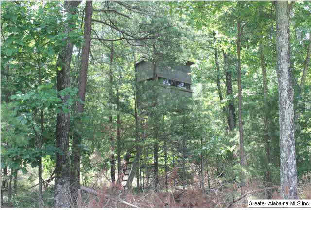 793 County Road, Unit 460 Centre, AL 35960 - Photo 6 of 11
