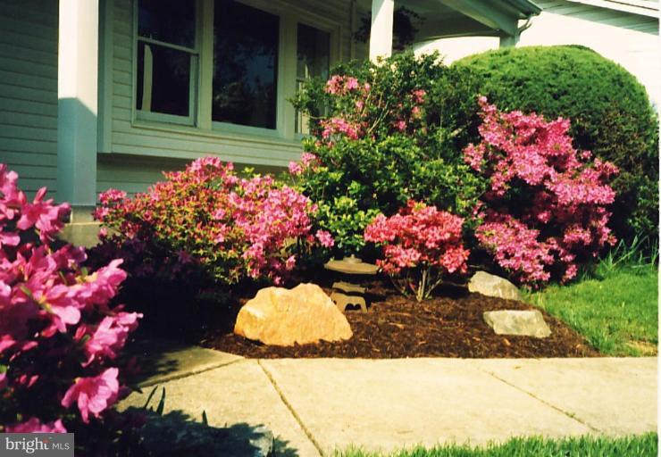 12528 Montclair Drive Silver Spring, MD 20904 - Photo 12 of 28 Exterior #4