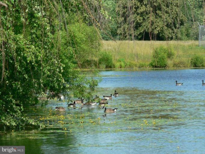 12528 Montclair Drive Silver Spring, MD 20904 - Photo 26 of 28 Community Amenities 4