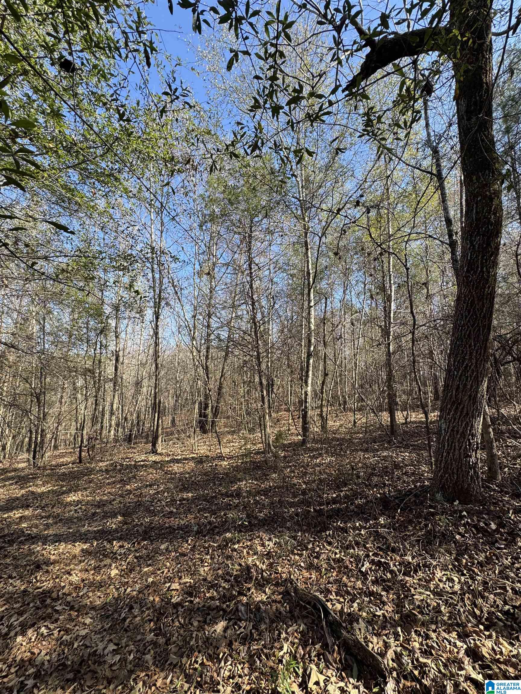 10 Rockyview Road, Unit 10 West Blocton, AL 35184 - Photo 9 of 10