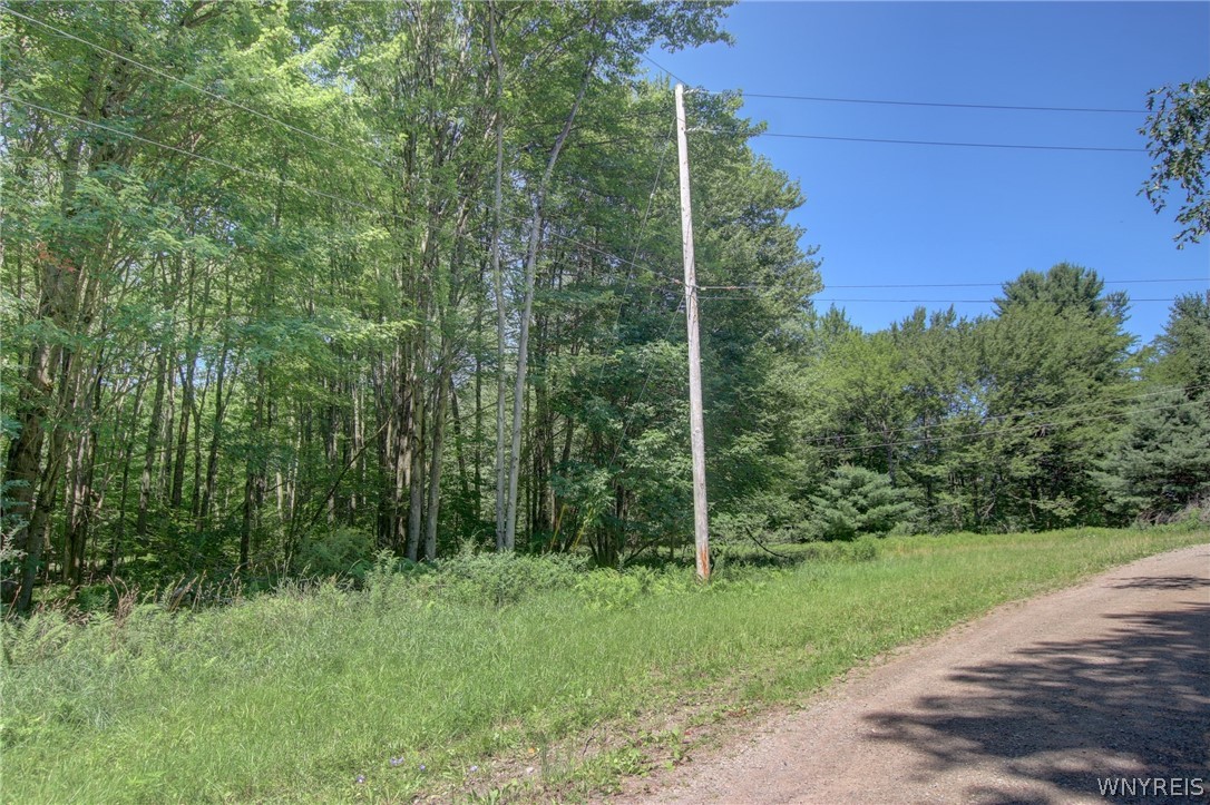 Dublin Hills Rd Road Salamanca, NY 14779 - Photo 22 of 24 Gallery Image 22