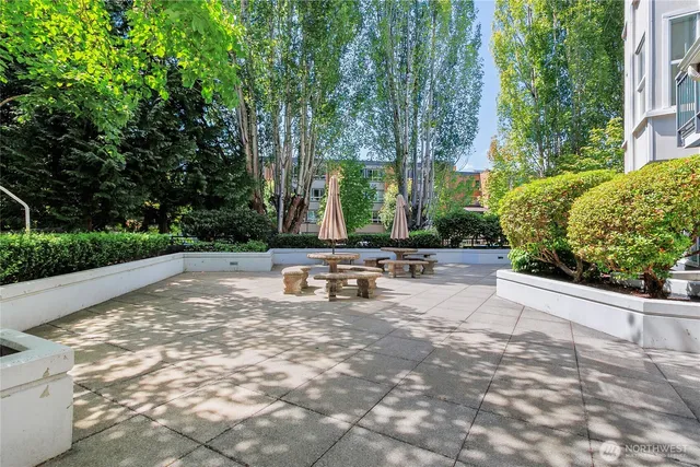 a view of a park with a trees