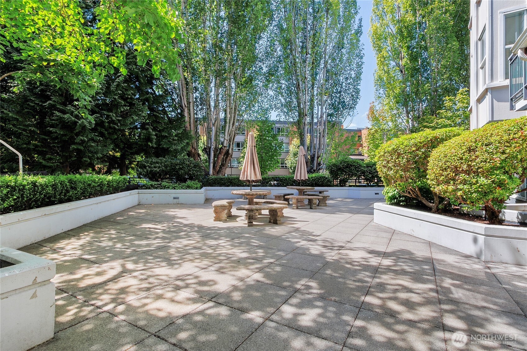 55 Williams Avenue South, Unit 209 Renton, WA 98057 - Photo 18 of 23