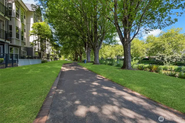 a view of a lake with houses in the back