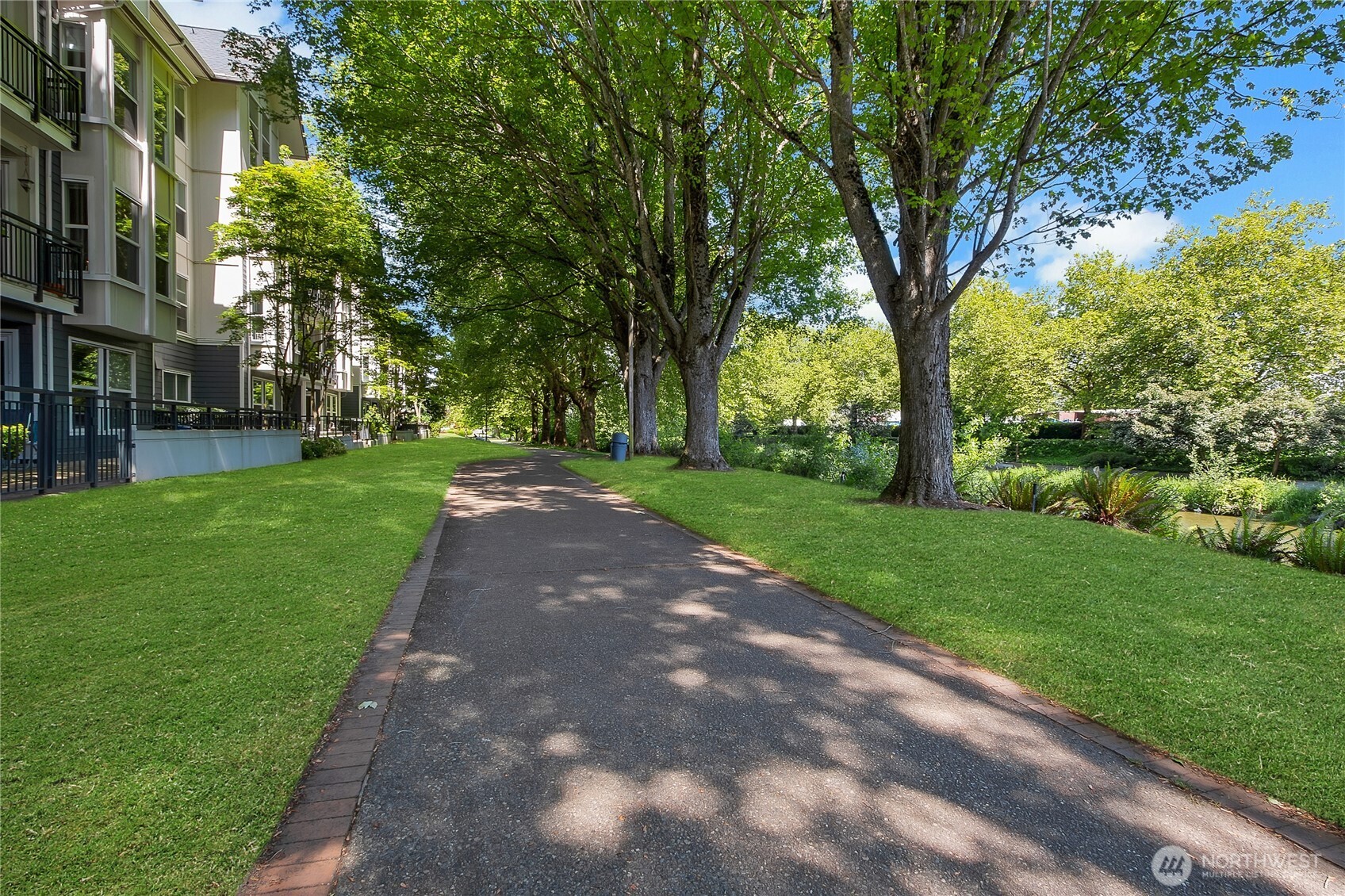 55 Williams Avenue South, Unit 209 Renton, WA 98057 - Photo 18 of 21 a view of a park with a trees