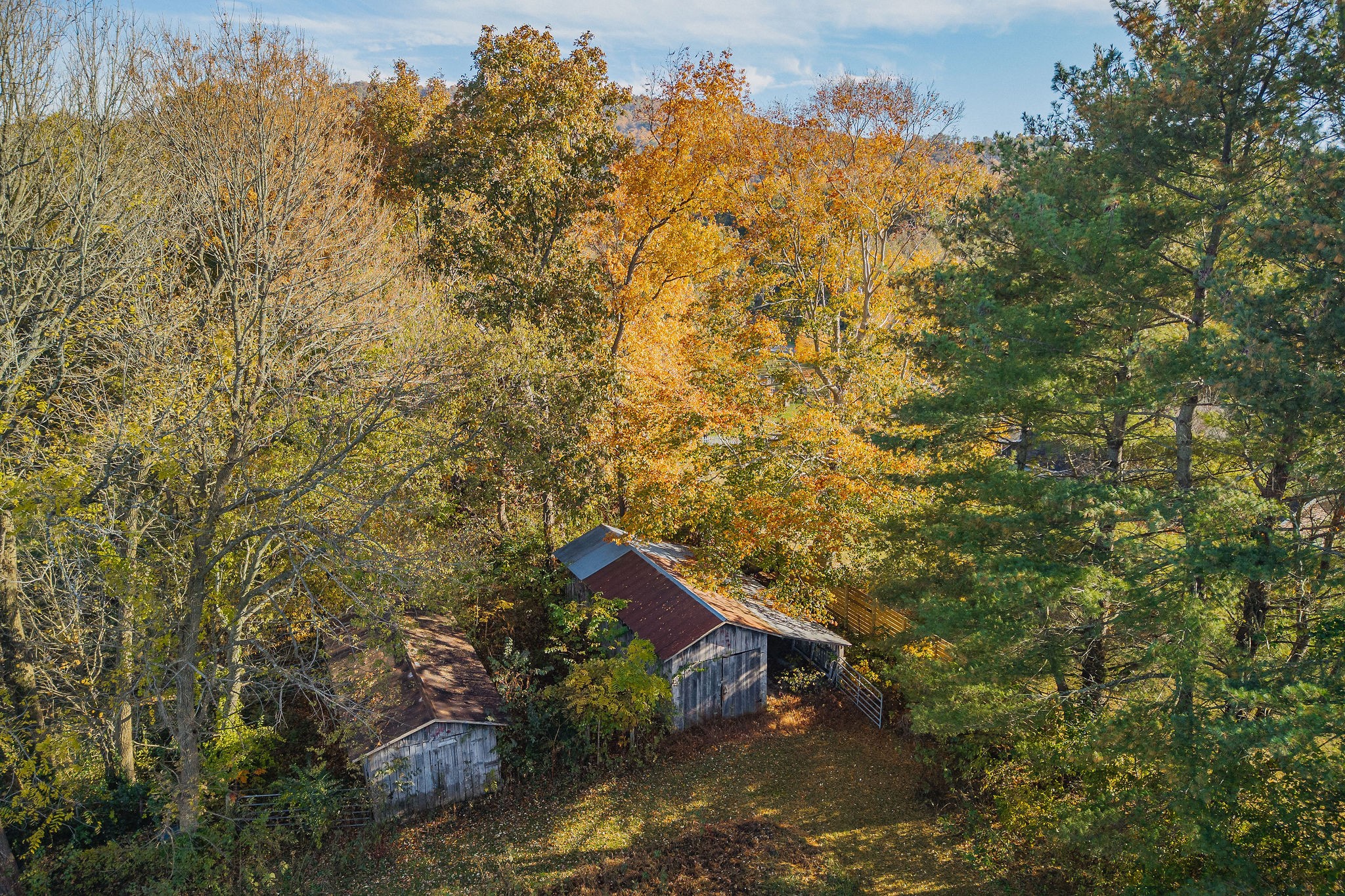 4143 Viola Road McMinnville, TN 37110 - Photo 4 of 27