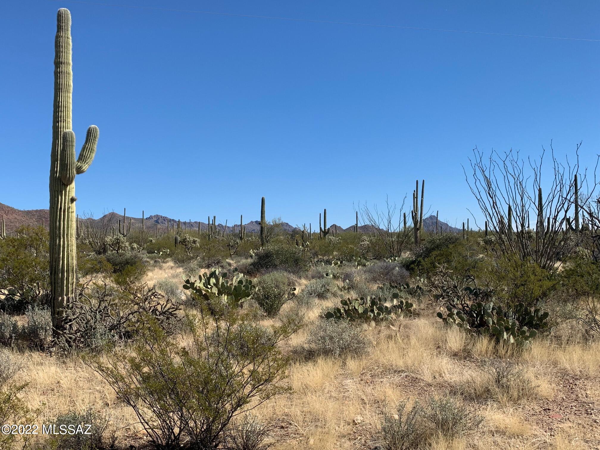 19-acres West Mile Wide Road, Unit B Tucson, AZ 85743 - Photo 10 of 19
