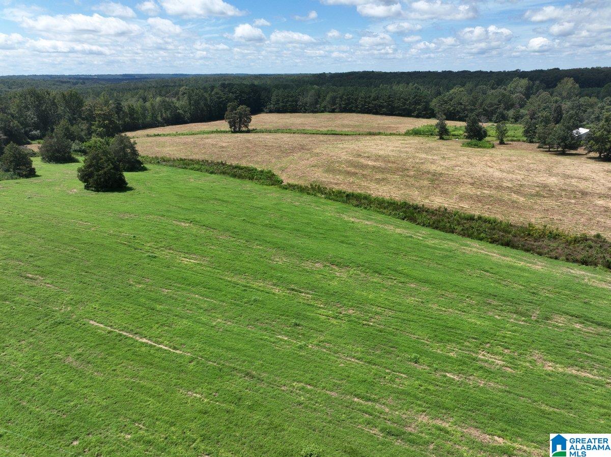 70 Nobinger Road Falkville, AL 35622 - Photo 15 of 23 Gallery Image 15