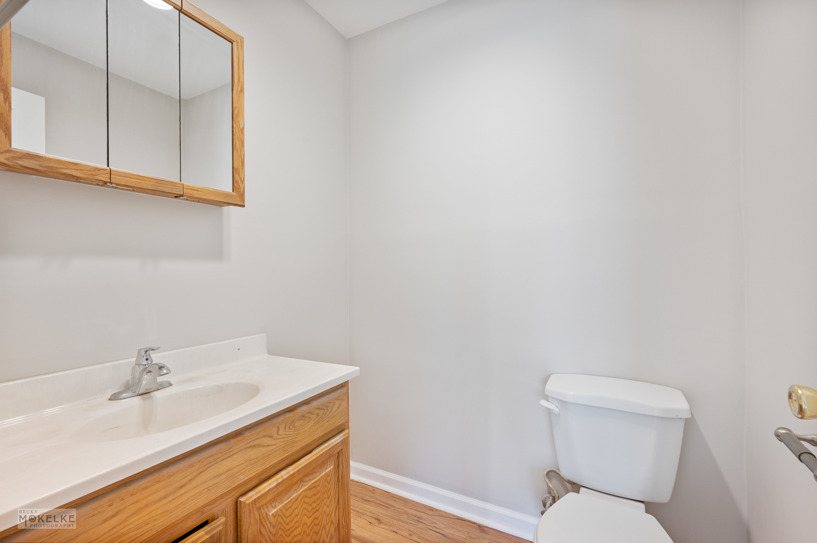 850 South Lorraine Road, Unit 1A Wheaton, IL 60189 - Photo 13 of 19