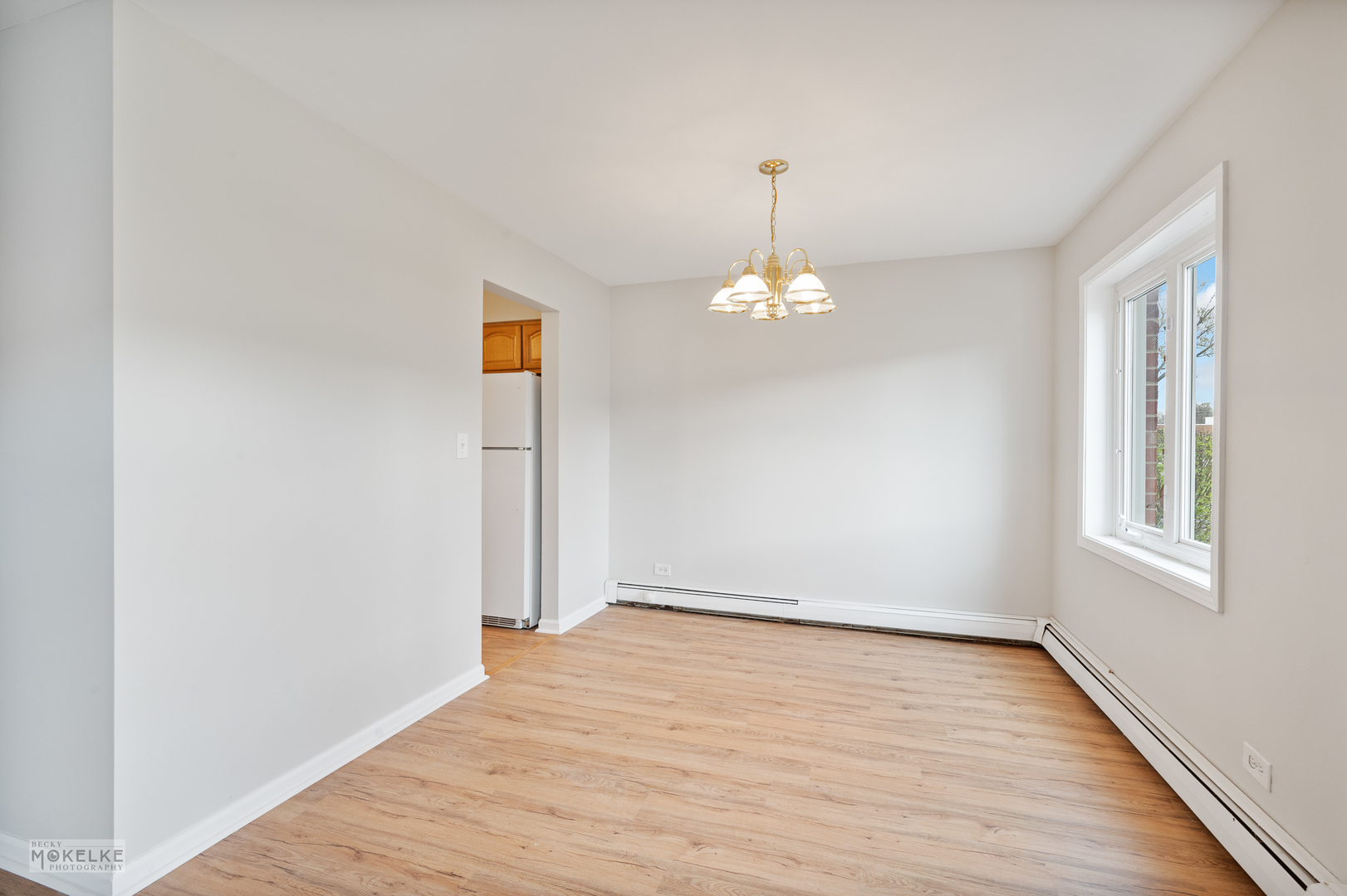 850 South Lorraine Road, Unit 1A Wheaton, IL 60189 - Photo 10 of 19
