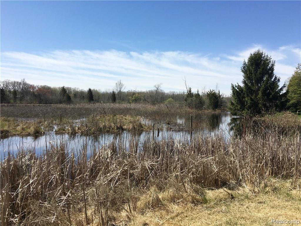 3725 Cedar Point Howell, MI 48843 - Photo 26 of 31 Photo Apr 27, 11 40 21 AM (1).jpg