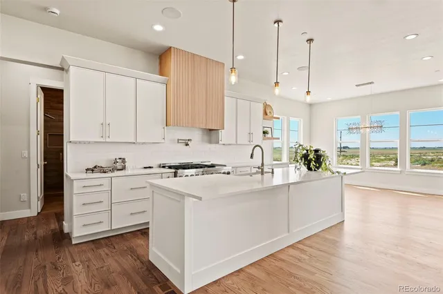 $1,395,000 | 30460 East 161st Avenue, Brighton, CO 80603