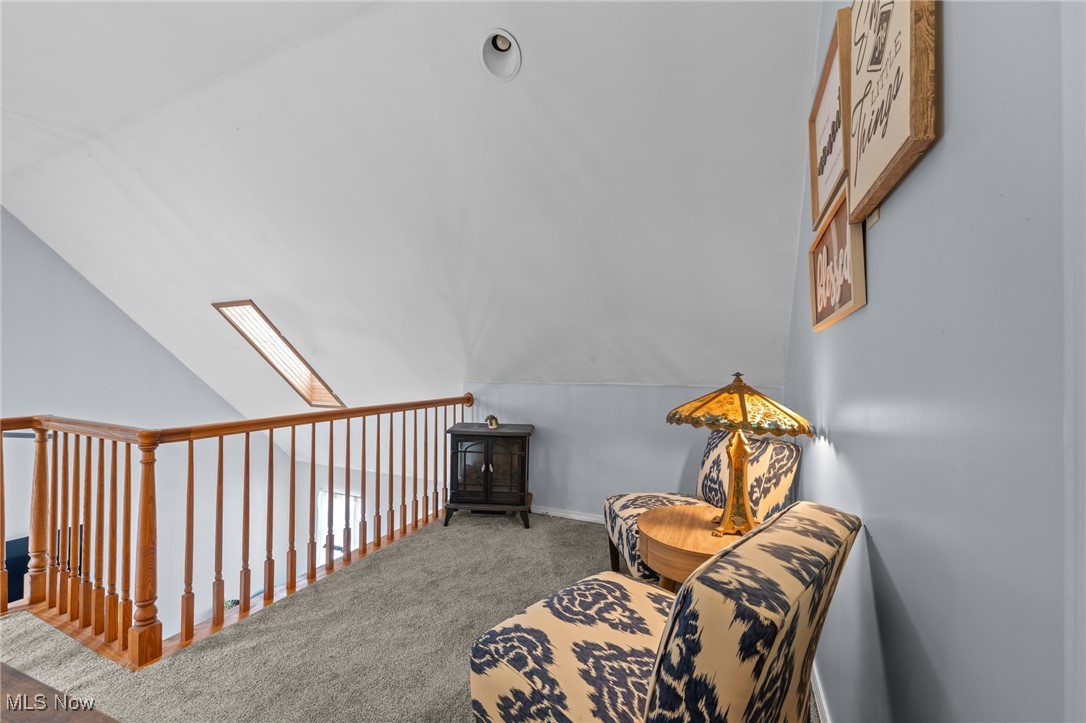 10641 Gilbert Road Newton Falls, OH 44444 - Photo 29 of 46 Living area with vaulted ceiling with skylight and carpet floors