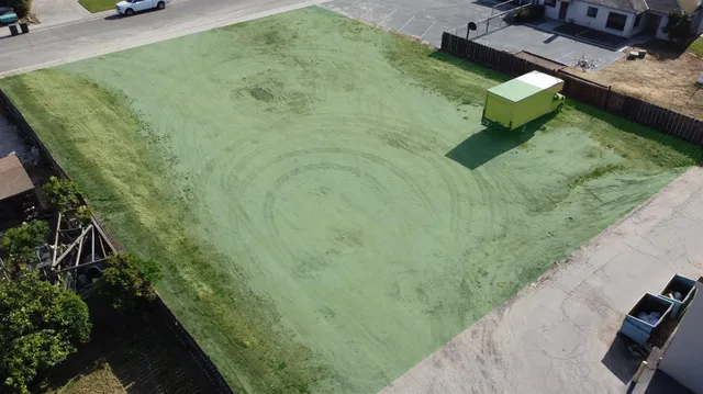 a view of a yard with potted plants
