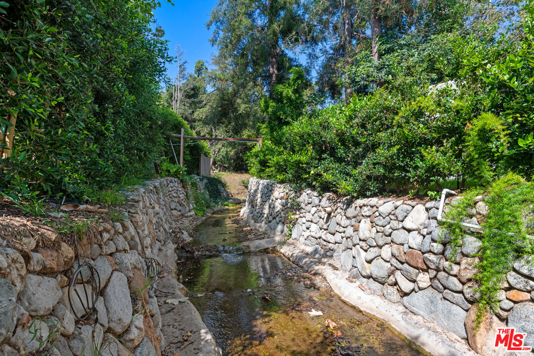 5949 Ramirez Canyon Road Malibu, CA 90265 - Photo 26 of 26 a view of plants and large trees
