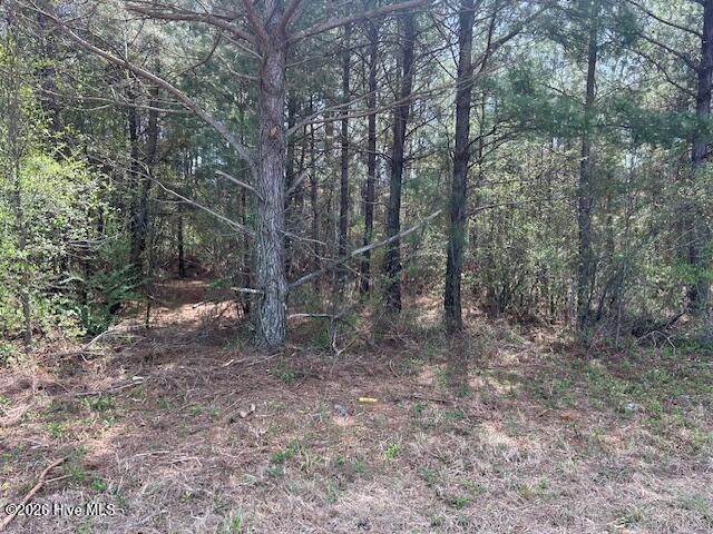 0 Mintz Road Roseboro, NC 28382 - Photo 16 of 16 Woods