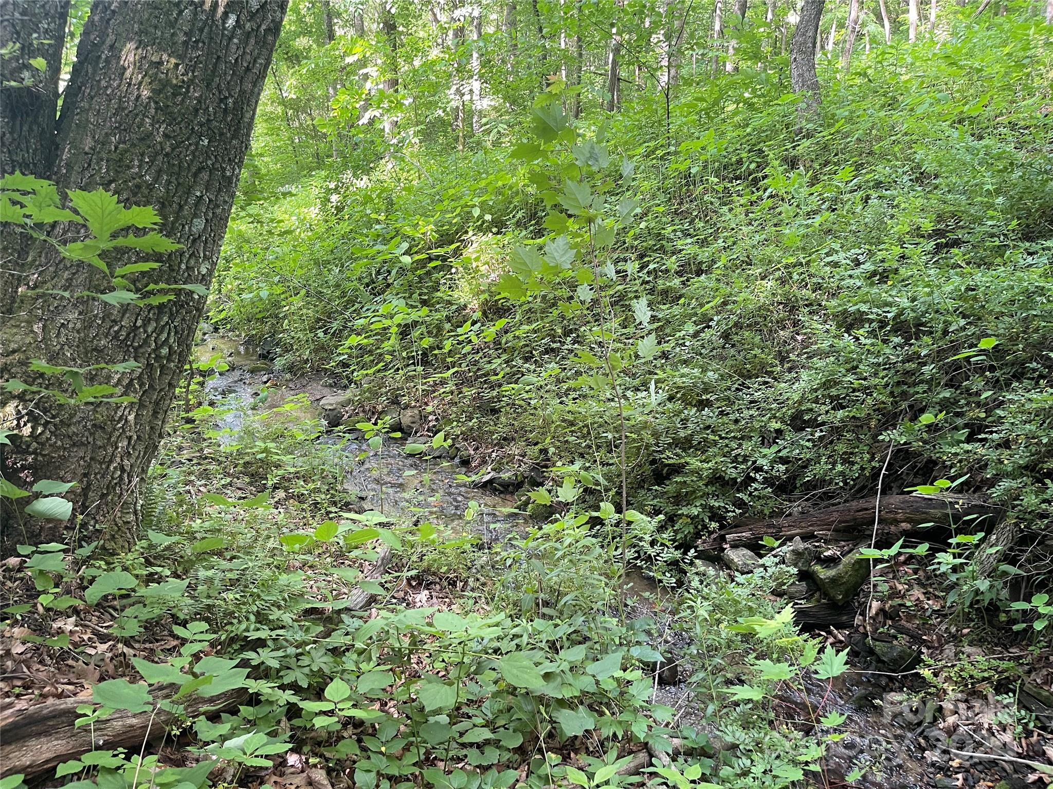 Tbd Mountain Glen Road Canton, NC 28716 - Photo 2 of 8