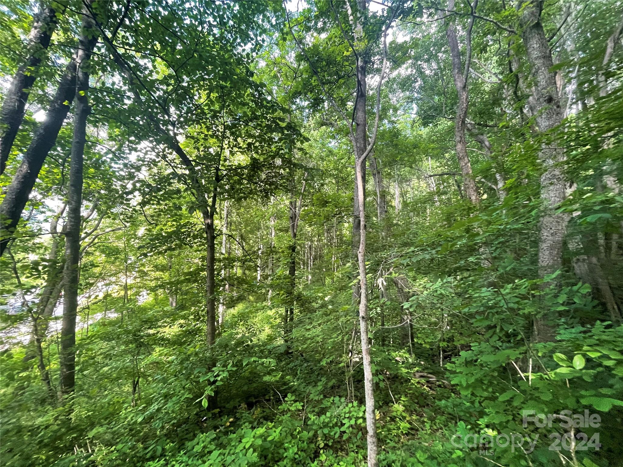 Tbd Mountain Glen Road Canton, NC 28716 - Photo 4 of 8
