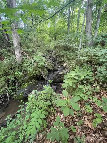 a plant view in yard