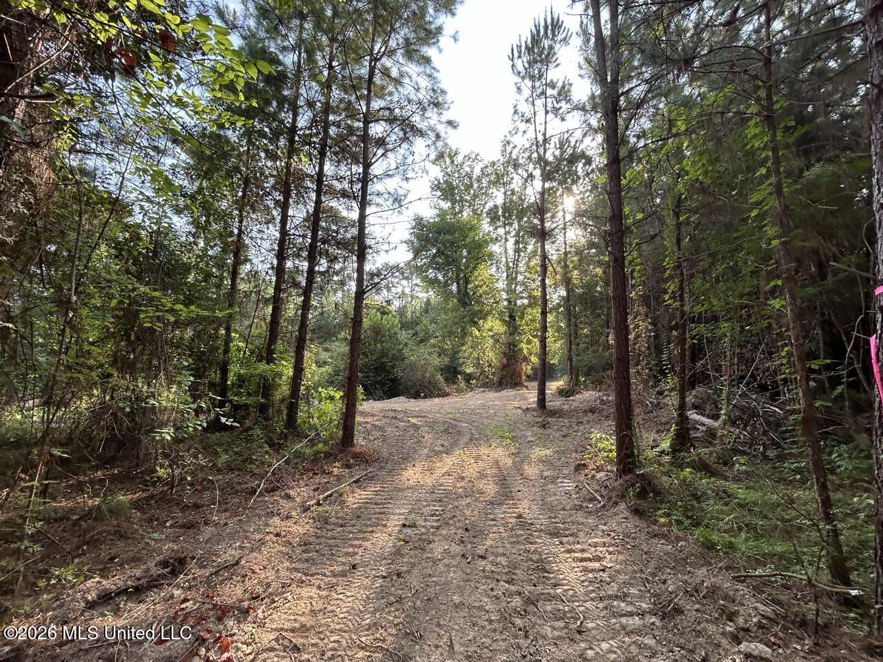 5 Old Oldenburg Road Meadville, MS 39653 - Photo 29 of 39 IMG_5584 Large