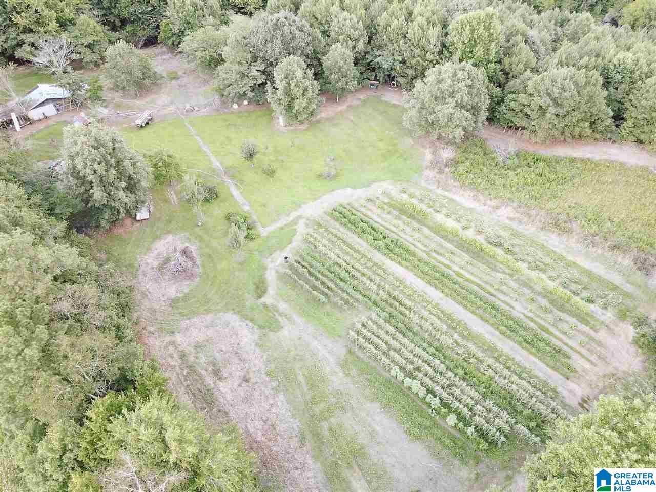 4000 County Road 20 Oneonta, AL 35121 - Photo 11 of 48